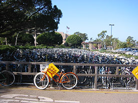 Sea of bikes outside UCSB Campbell Hall