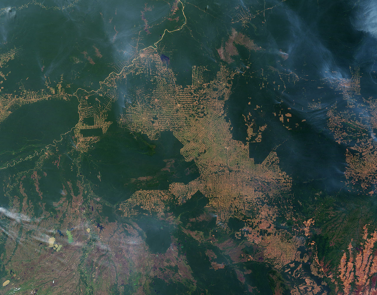 Image 9 for article titled "Illegal Land Clearing for Commercial Agriculture Responsible for Half of Tropical Deforestation"