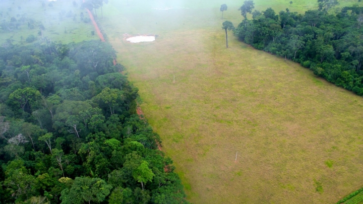 Image 1 for article titled "Farming Now Worse For Climate Than Deforestation"